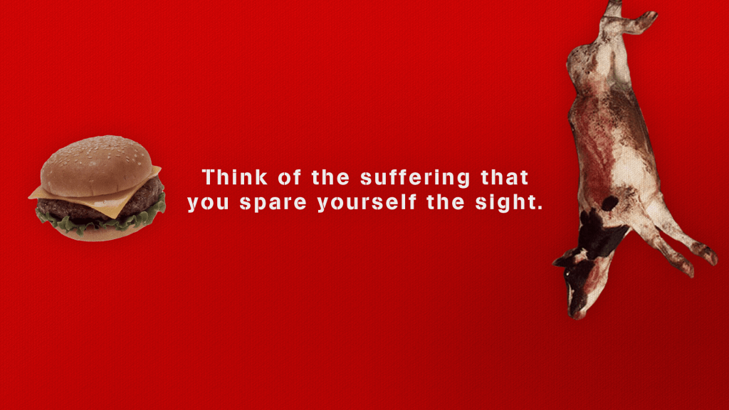 Il vegano cattivo e il giornalismo&nbsp;disinformato