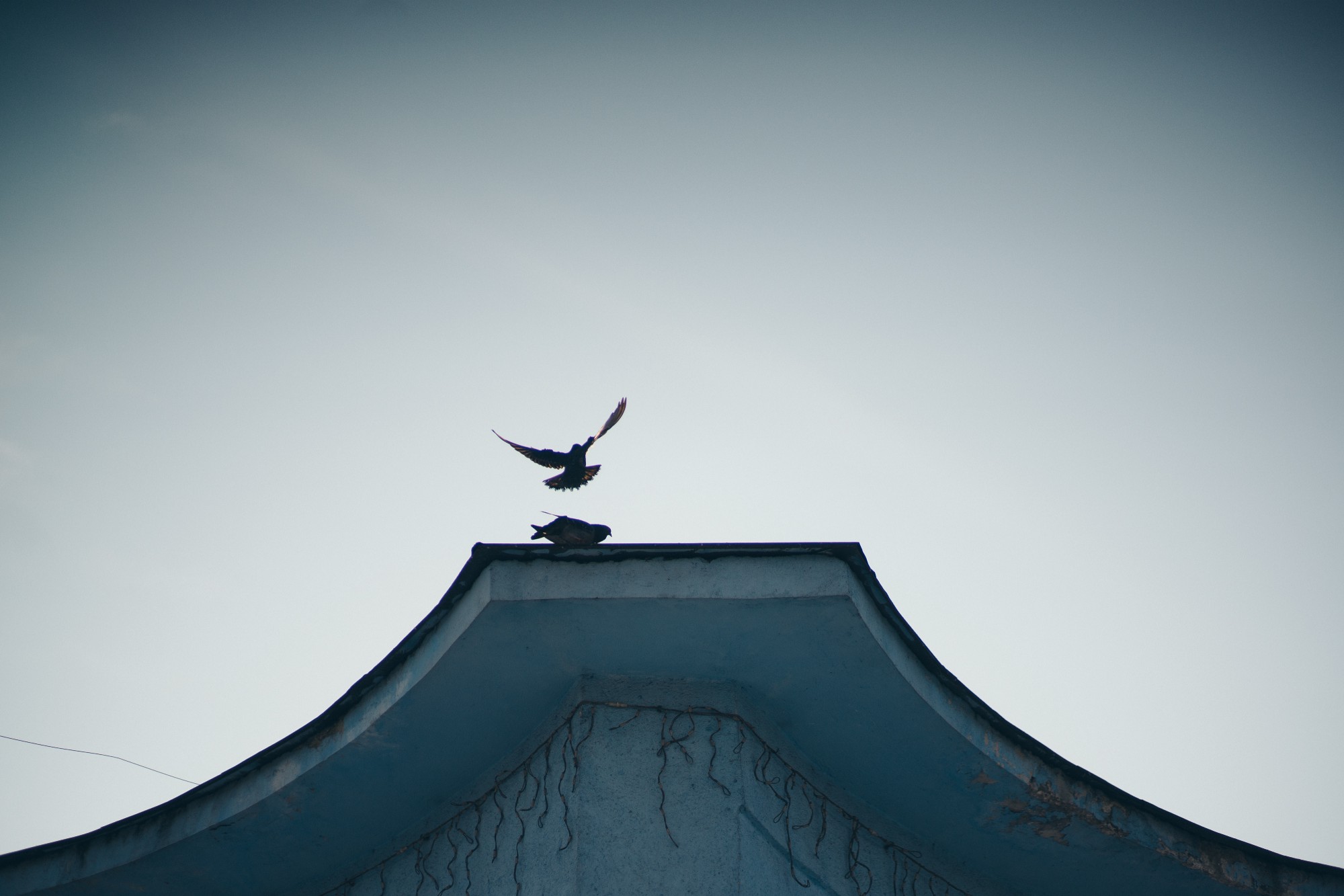 1fwb_gy16-syzm6wsdpxobw