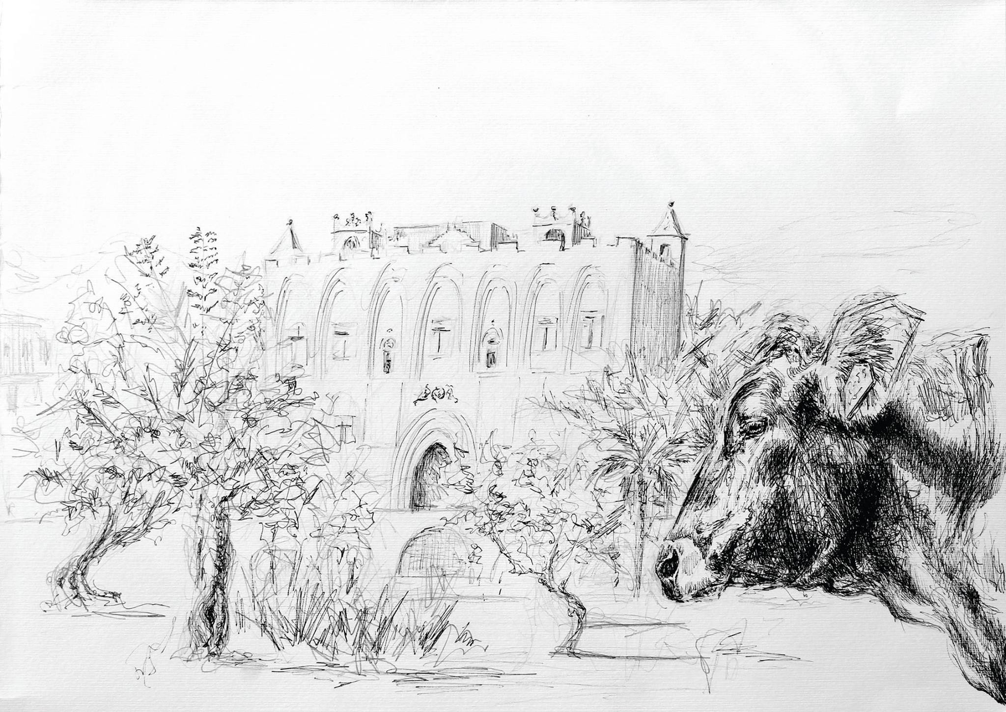 35078122_1720988421271929_6600946137849397248_o