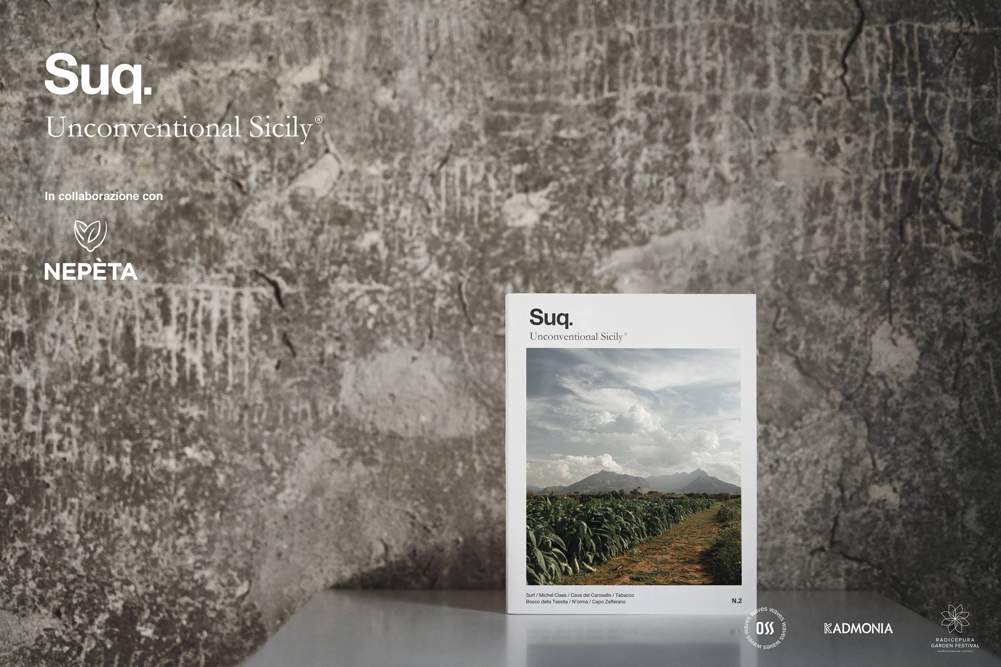 48392726_1192767874230446_5121003289294405632_o