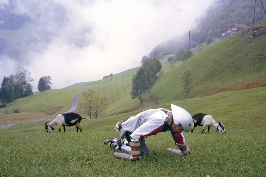 Broken Nature | Flash&nbsp;Art