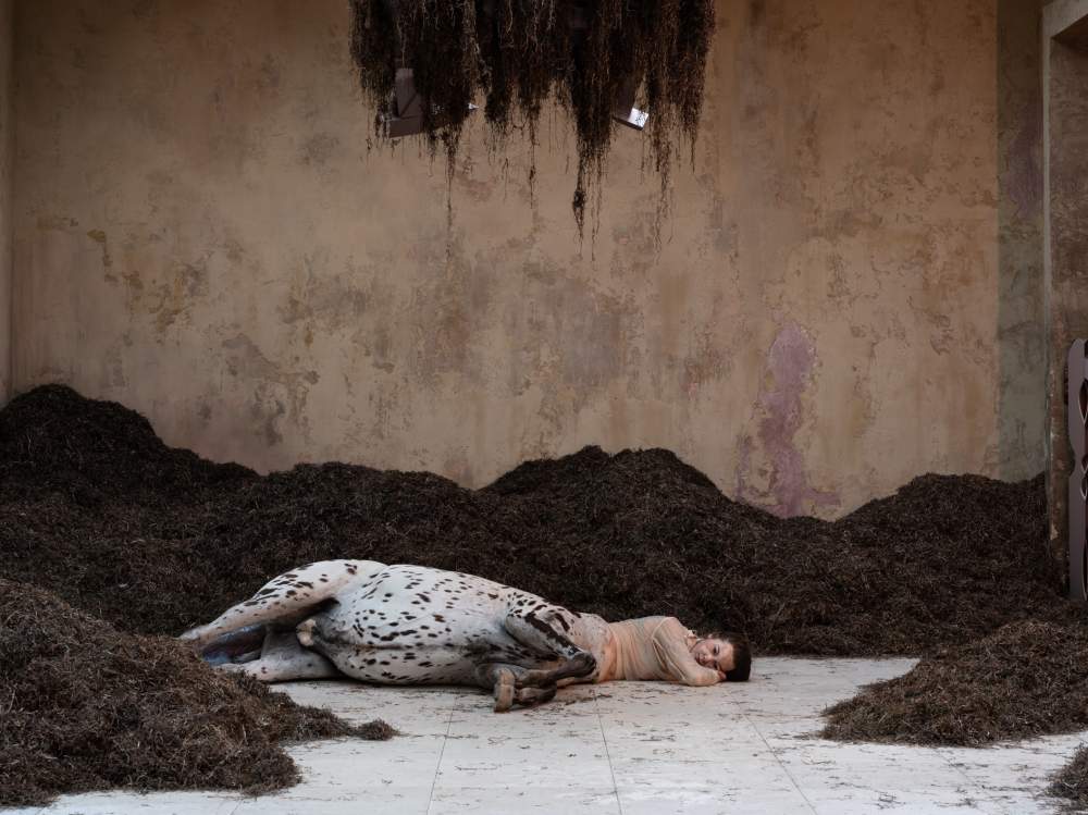 Sulla Biennale / il giornale&nbsp;dell’arte