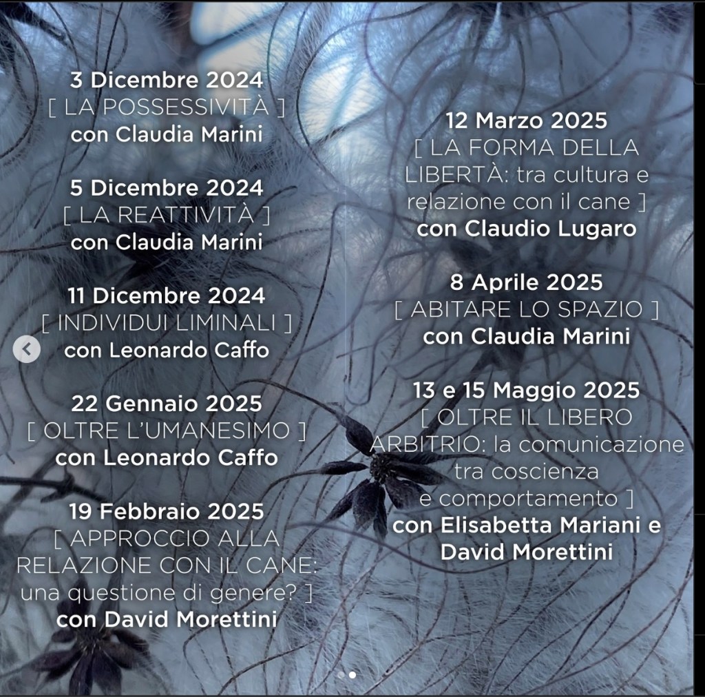 due webinar su antropocentrismo x&nbsp;ACUA